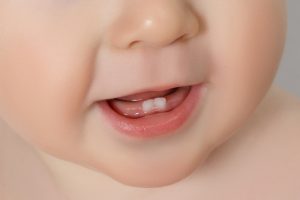 a baby's bottom two teeth